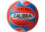 Calibra beachvolleybal Alegre 2.0