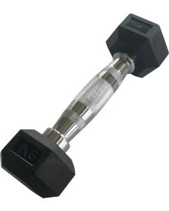 Hexagonal Dumbell 1kg x1